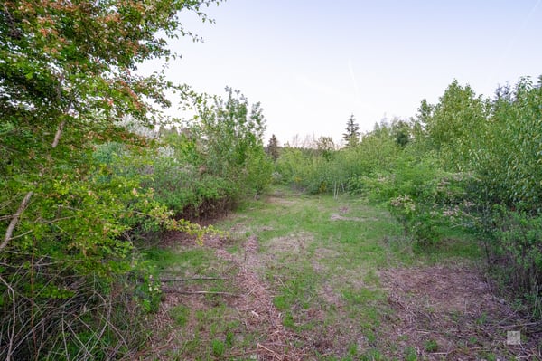 31262 SE Kelso Road, Boring, OR