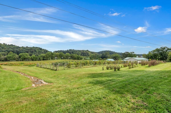9065 Clay Pike Road, Chandlersville, OH