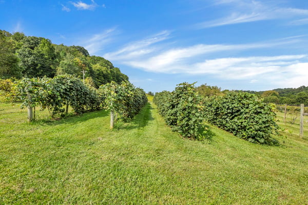 9065 Clay Pike Road, Chandlersville, OH