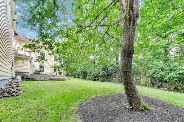 Large rear yard with flat grassy play space