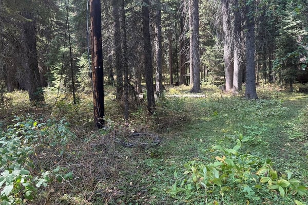 2325 W Mountain Road, Donnelly, ID
