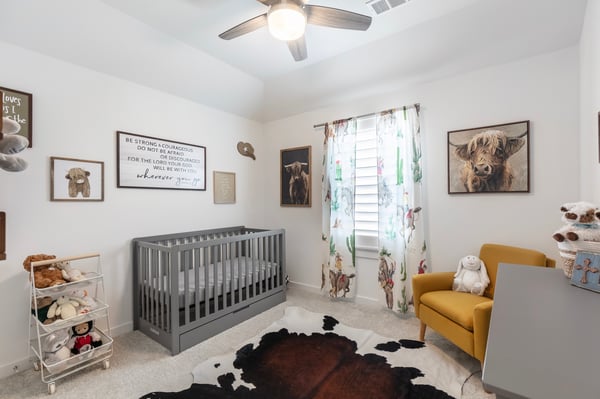 2704 Acadia Mews, Celina, TX