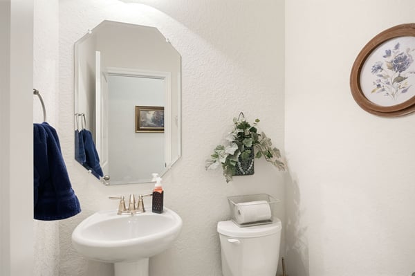 Bright and functional bathroom featuring a modern sink, cozy decor, and ample natural light.