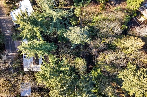 2546 SW Sherwood Drive, Portland, OR