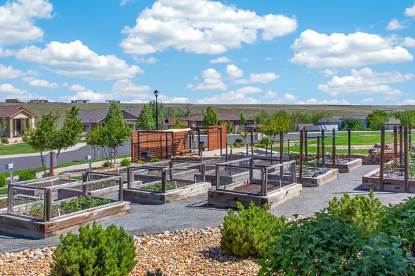 12556 W Montane Drive, Broomfield, CO