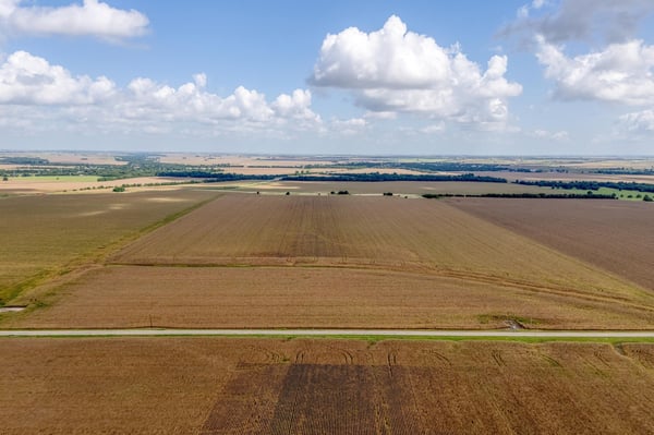 0 CR 346, Granger, TX