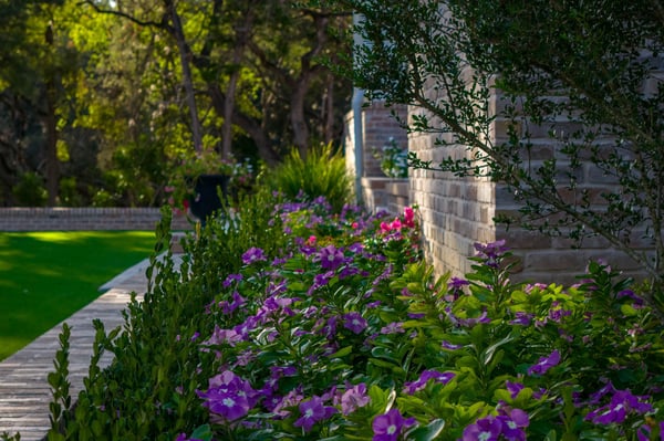 1755 Riada Drive, New Braunfels, TX
