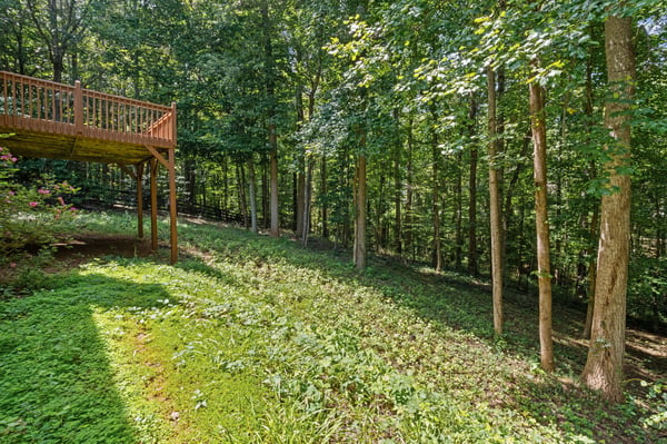 Experience a private backyard retreat nestled among lush trees, perfect for outdoor gatherings and relaxation.