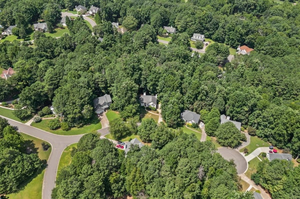 Spacious residential community set amidst lush greenery, offering a peaceful atmosphere and well-defined streets.