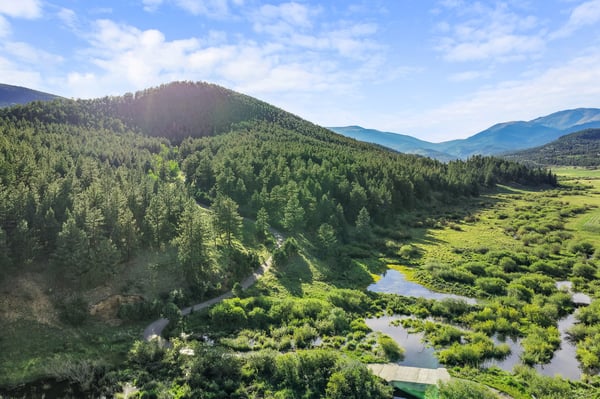 Scenic lot showcasing lush greenery and flowing water, perfect for building a dream retreat in nature.