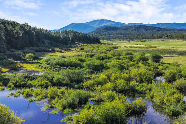 Scenic property featuring expansive wetlands and lush greenery, framed by stunning mountain views and open skies.