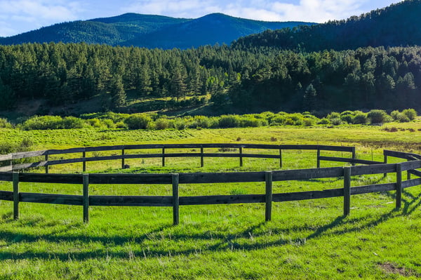 Discover this expansive property featuring stunning mountain views and a spacious pasture, ideal for your dream home.