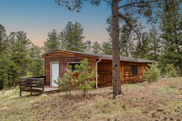 Cozy cabin nestled among tall pines, offering a peaceful retreat with ample outdoor space.
