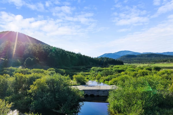 Scenic landscape featuring lush greenery and tranquil water, perfect for nature enthusiasts and outdoor adventures.