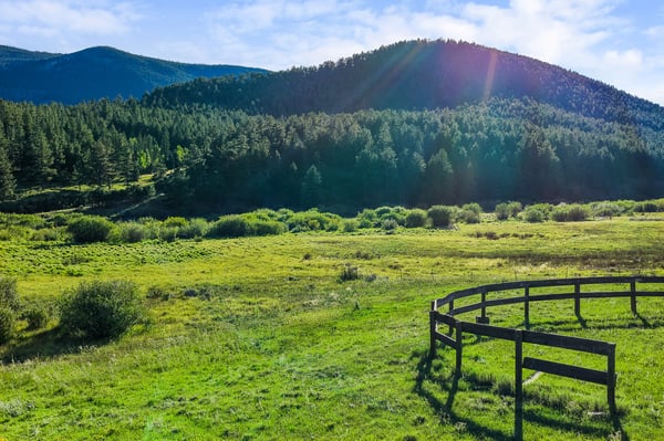 Spacious land surrounded by lush greenery and mountains, perfect for creating your dream retreat or home.