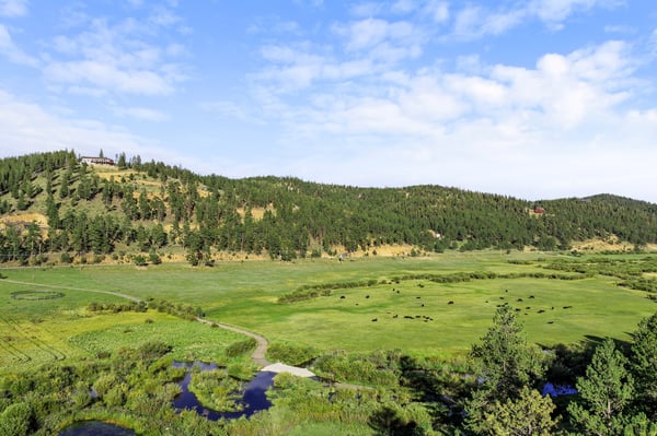 Expansive landscape featuring lush greenery, winding waterways, and a panoramic view of rolling hills.