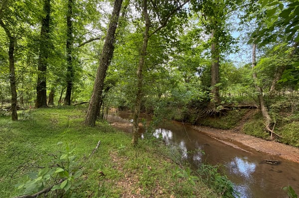 The Little River forms the natural border at the back of the property, creating a peaceful wooded backdrop and a rare sense of privacy. It s the kind of setting that makes the acreage feel even more special quiet, natural, and beautifully connected to the land.