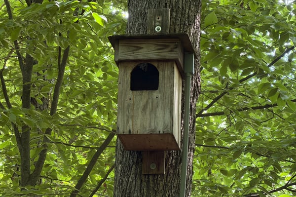 A truly special piece of the property s story: this barred owl nesting box has welcomed nesting owls almost every year for the past 16 years, with babies often making their spring debut. A webcam offers a front-row view of this quiet backyard tradition one more way this home feels connected to nature.