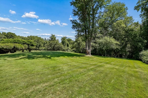 Expansive green space surrounded by mature trees, perfect for outdoor activities and future landscaping projects.