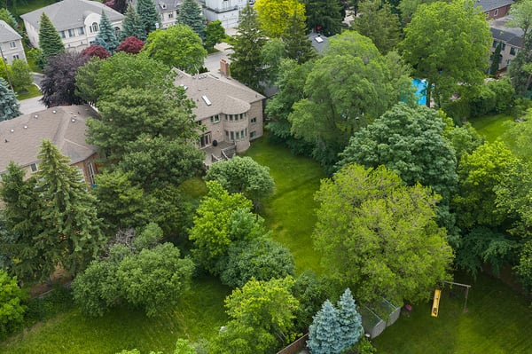 78 Gerald Street, North York, ON