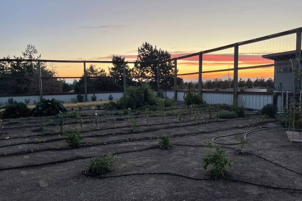 11301 SW Robinson Lane, Powell Butte, OR