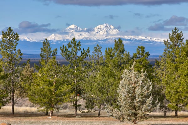 11301 SW Robinson Lane, Powell Butte, OR