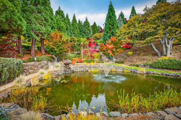 200 Belle Fiore Ln, Ashland, OR