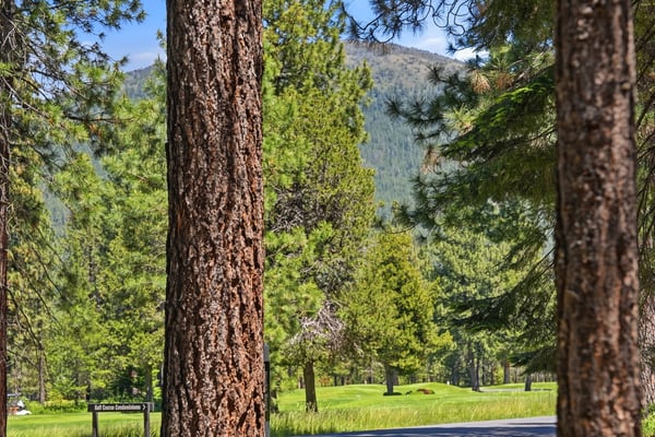 71105 Meadow Grass Circle #GH18, Black Butte Ranch, OR