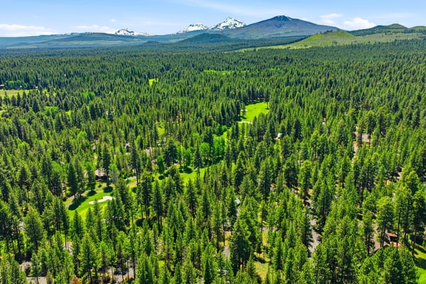 71105 Meadow Grass Circle #GH18, Black Butte Ranch, OR