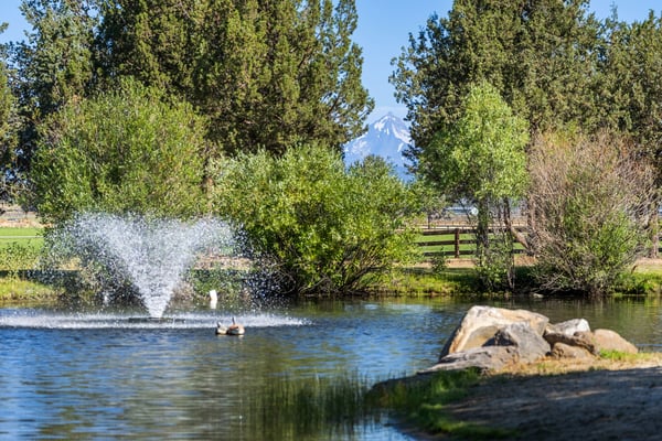 68405 Fryrear Road, Sisters, OR