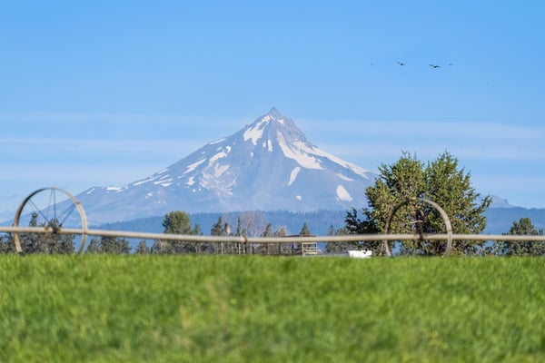 68405 Fryrear Road, Sisters, OR