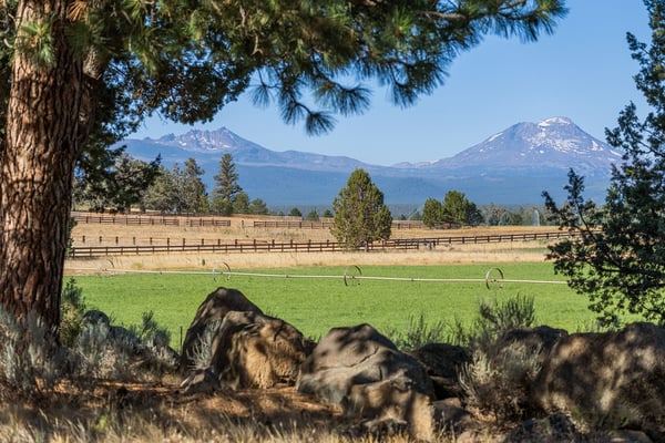 68405 Fryrear Road, Sisters, OR