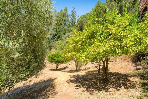 220 Whippet Run, Corralitos, CA