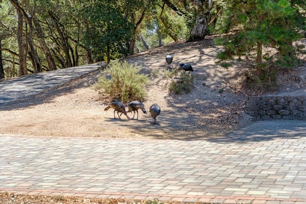 220 Whippet Run, Corralitos, CA
