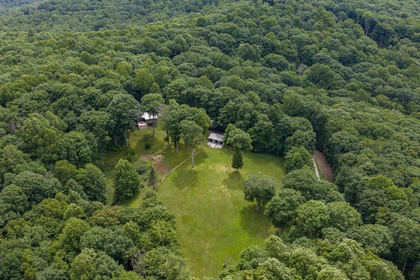 Secluded retreat surrounded by lush greenery, offering expansive outdoor space and natural privacy for relaxation.