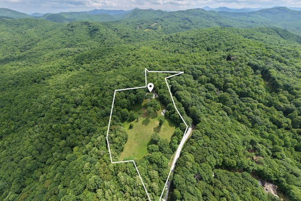 Expansive land opportunity surrounded by lush greenery, offering potential for development or a private retreat.