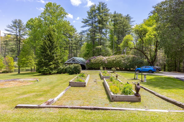 Spacious outdoor area with raised garden beds and mature trees, perfect for gardening enthusiasts and nature lovers.