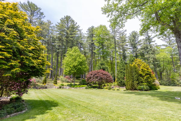 Spacious landscaped yard surrounded by vibrant trees, offering a peaceful retreat in nature's embrace.