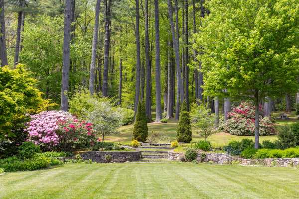 Discover a lush, vibrant landscape featuring stunning flowers, mature trees, and beautifully manicured pathways.