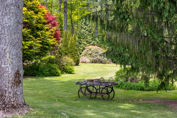 Lush greenery surrounds a quaint outdoor space, featuring unique landscaping and a rustic table for gatherings.