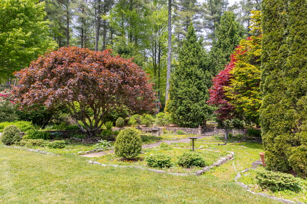 Discover a vibrant garden oasis featuring lush greenery and diverse plant life, perfect for outdoor retreats.