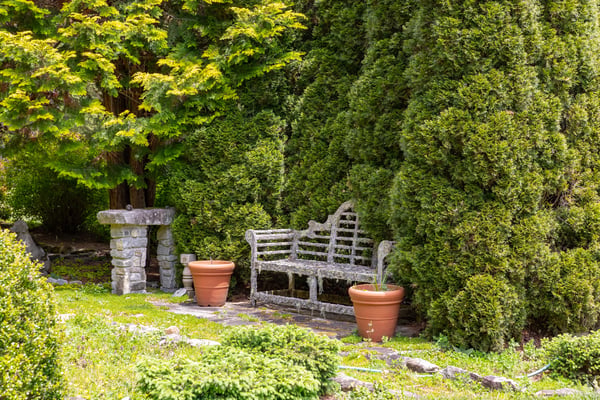 Nestled among tall greenery, this private garden feature includes a quaint stone bench and decorative pots.