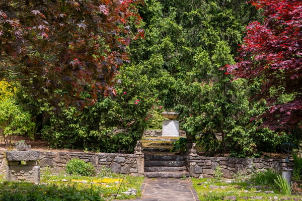Discover a tranquil pathway surrounded by vibrant trees and lush greenery, perfect for nature lovers.