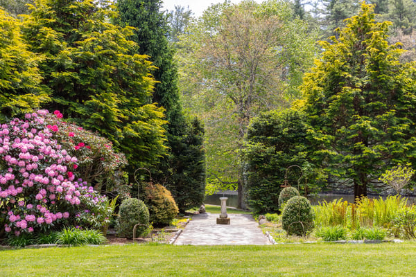 Discover a lush garden pathway framed by vibrant flowers and towering trees, perfect for outdoor relaxation.