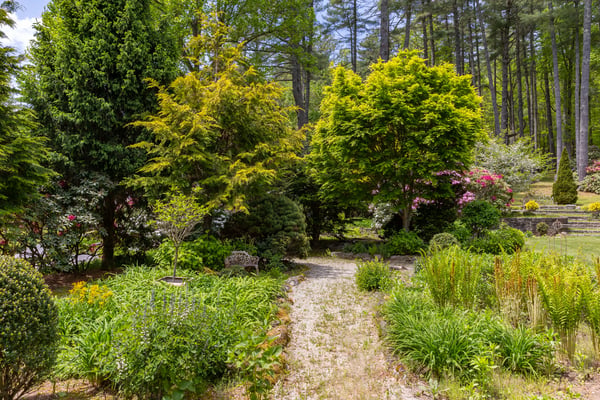 Discover a vibrant garden retreat, featuring lush greenery and diverse plant life, perfect for relaxation.