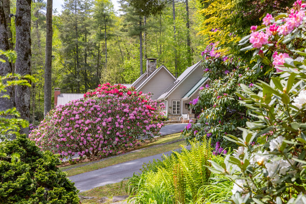 Nestled among vibrant blooms, this home offers a peaceful retreat surrounded by lush greenery and natural beauty.