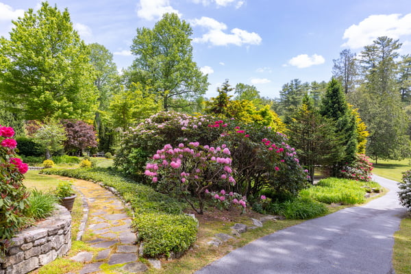 Discover a lush landscape featuring vibrant flowering shrubs, perfect for creating a tranquil outdoor retreat.