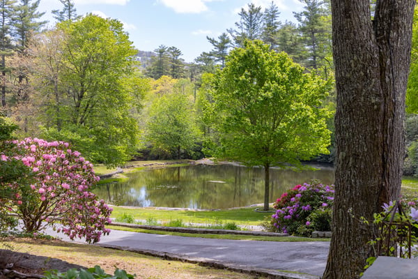 Discover a tranquil retreat with scenic pond views surrounded by lush greenery and vibrant flowering shrubs.