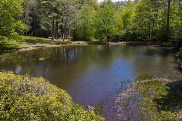 Discover a tranquil retreat with a private pond surrounded by lush greenery and mature trees.