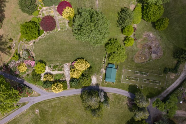 Expansive property with diverse landscaping, mature trees, and potential for gardening or outdoor activities.